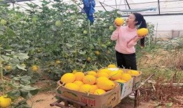吃瓜蒲城主播,揭秘网络主播的幕后生活