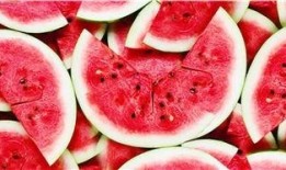 推荐网站吃瓜,跟随推荐网站探索娱乐圈风云变幻