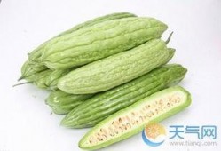 吃凉瓜好吗,吃凉瓜的好处与注意事项