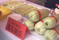 吃瓜蒲城主播,揭秘网络主播的幕后生活