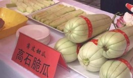 吃瓜蒲城主播,揭秘网络主播的幕后生活