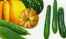 小翠吃瓜,一场味蕾的狂欢之旅