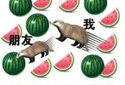 aaa专业吃瓜组合,网络红人的崛起与影响力