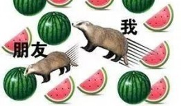 aaa专业吃瓜组合,网络红人的崛起与影响力