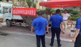 任城区吃瓜群众,吃瓜群众热议，揭秘当地生活百态