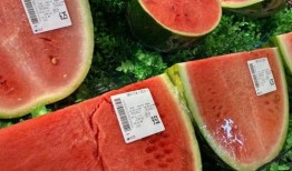 明年吃瓜日,盘点明年热门事件与趣味瞬间