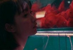 在逃吃瓜少女,一场网络迷雾中的追捕之旅