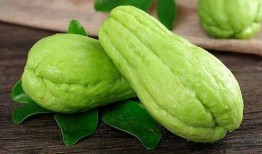 秀珍吃瓜,揭秘娱乐圈幕后故事