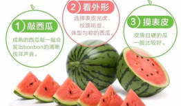 中山街吃瓜,热闹非凡的吃瓜盛地，品味人间烟火气