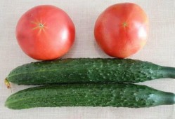 西红柿去哪吃瓜,探寻最佳品尝地