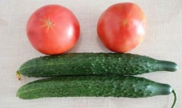 西红柿去哪吃瓜,探寻最佳品尝地