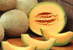 哈密瓜吃的是什么部分,揭秘食用的黄金部分