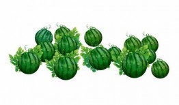 阿lan吃瓜,一场别开生面的吃瓜盛宴