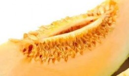 吃元奴的瓜,揭秘“吃元奴瓜”背后的故事与传奇