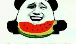 评论提供吃瓜群众