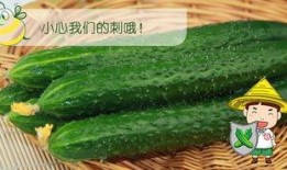 吃瓜在线观看黄
