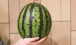 1小时吃瓜,尽享夏日清凉美味