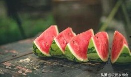 过了吃瓜季节,回味悠长的夏日时光