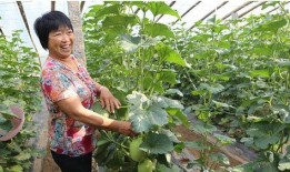 任城区吃瓜群众,吃瓜群众热议，揭秘当地生活百态