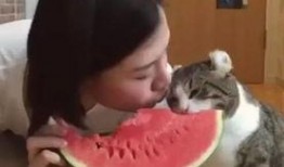 吃瓜萌主黑人,趣味横生的娱乐圈幕后故事