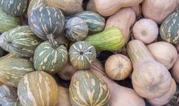 河北吃瓜女,揭秘网络热点的幕后故事