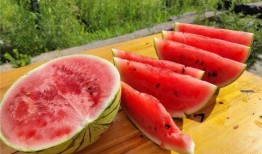 如何知道瓜熟了没有吃,如何判断瓜果是否成熟