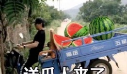 今夜吃瓜,揭秘娱乐圈最新热点事件