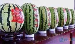 常德砂瓜怎么吃,夏日消暑美食的多样吃法探索