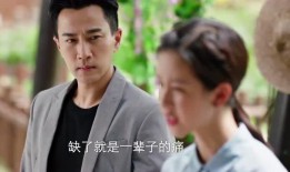 吃瓜看剧 后一句,吃瓜看剧背后的故事与真相