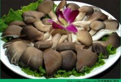 骨折后可以吃焦瓜,营养补充新选择