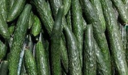 每日惠总吃瓜,揭秘娱乐圈吃瓜背后的真相与笑料