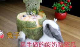 小宝宝吃哈密瓜酸奶,宝宝营养新选择，美味与健康同行