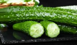 高科吃瓜