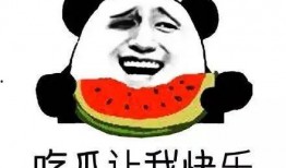 吃瓜群众是怎么吃的,揭秘现代网络时代的“瓜”文化现象