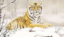 虎头局吃瓜,揭秘网红美食背后的故事