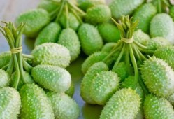 欢迎吃瓜图片,揭秘网络热图背后的趣味与现象