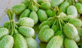 欢迎吃瓜图片,揭秘网络热图背后的趣味与现象