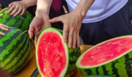 西音学院吃瓜,校园风云录