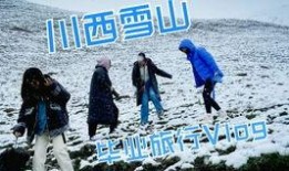 vlog吃瓜大法,轻松掌握网络热门事件解析技巧