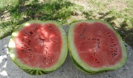 梦见卖瓜的给我瓜吃,卖瓜者赠瓜的神秘寓意解析