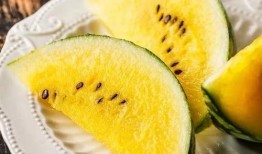 吃瓜红校服,吃瓜红校服的潮流魅力