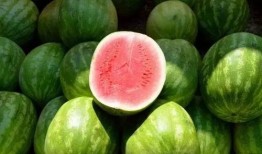 吃的花皮瓜,探寻美味与营养的绿色宝藏