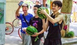 大连学校吃瓜,揭秘校园吃瓜盛况