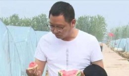 吃瓜闪烁,揭秘娱乐圈的幕后故事