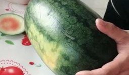 梦吃瓜孑,揭秘梦境中的奇幻瓜果之旅