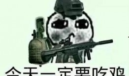 瓜仔吃鸡配乐,探寻游戏配乐的魅力