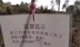 梦到妈妈吃瓜,妈妈吃瓜背后的温馨启示