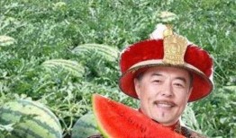 真实的吃瓜故事,一场真实的吃瓜盛宴背后的故事