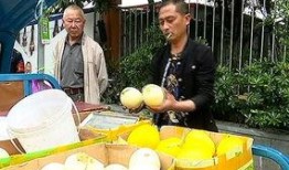 吃瓜科科长,一场别开生面的“瓜界”风云录