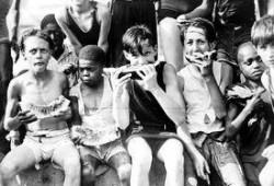 吃瓜群众的片段,一场全民参与的娱乐盛宴